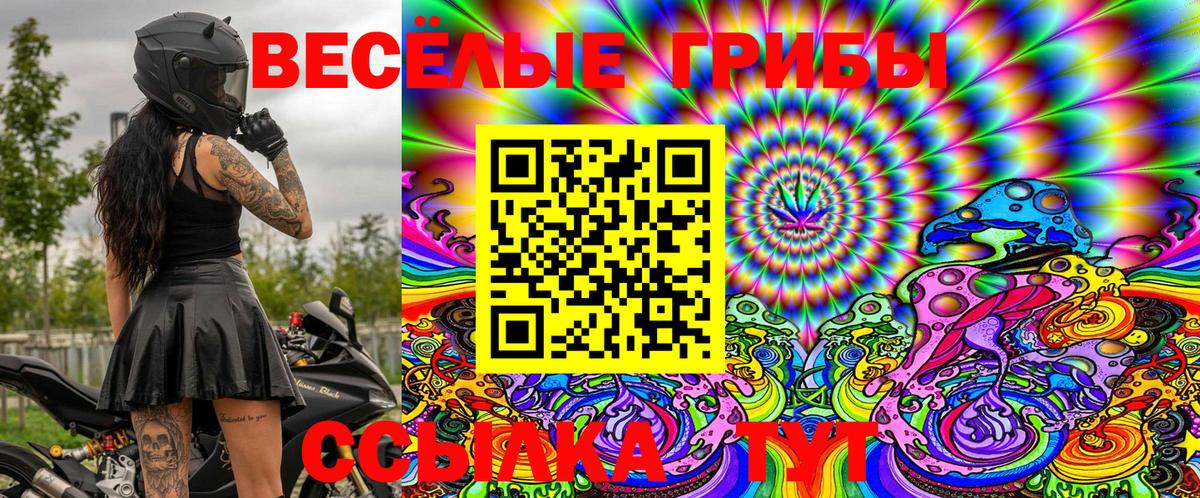 Псилоцибиновые грибы Psilocybe Котельники