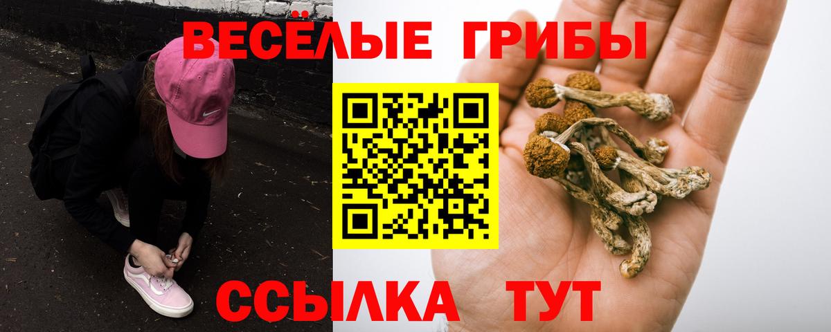 где купить   Псилоцибиновые грибы прущие грибы  Псилоцибиновые грибы Cubensis  Вход с VPN  Котельники 